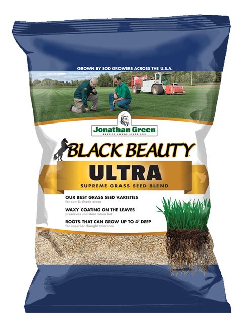 Say Goodbye to Bare Spots with Black Beauty Grass Seed this Fall